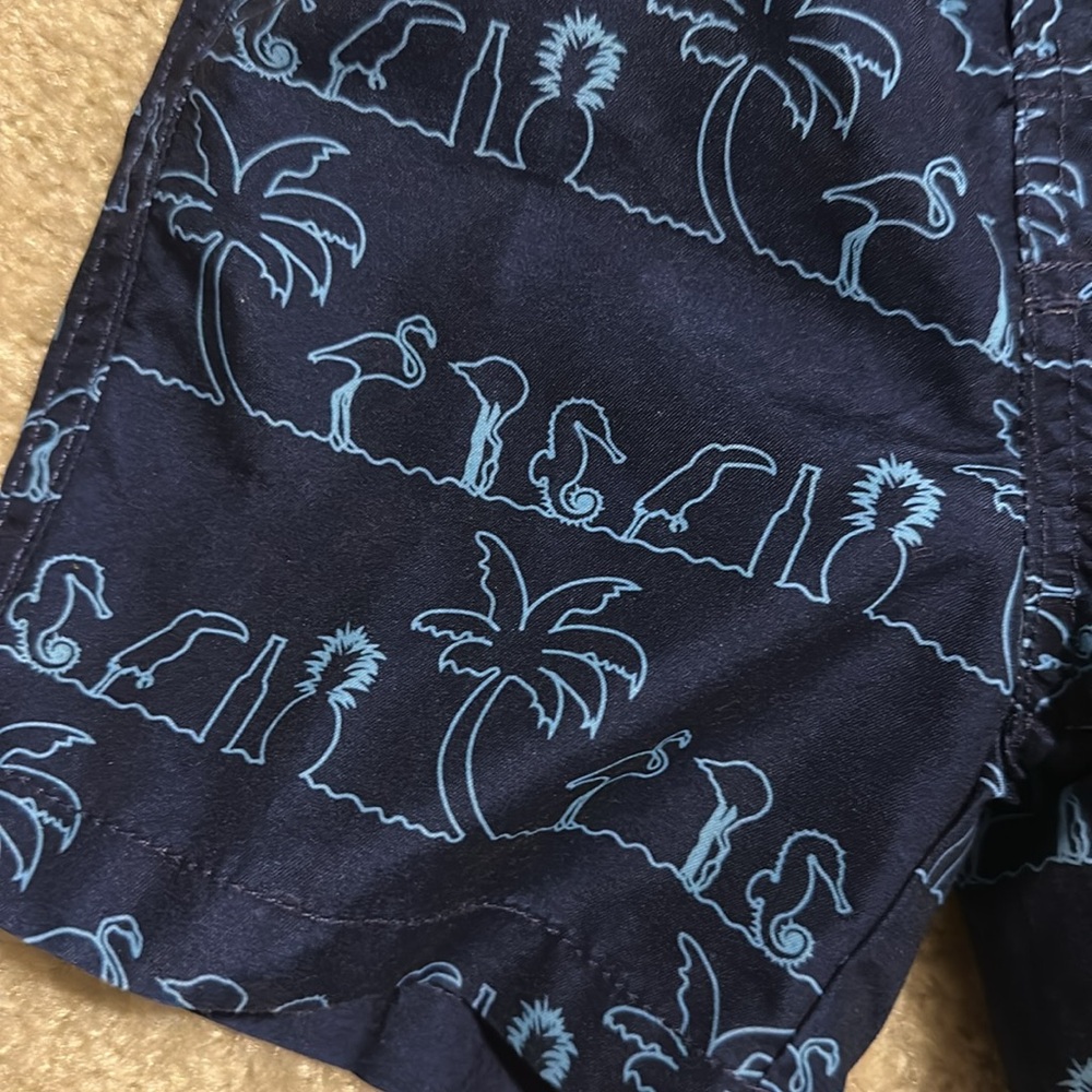 Beach bros boys lined swim suit size 2T - Picture 2 of 4